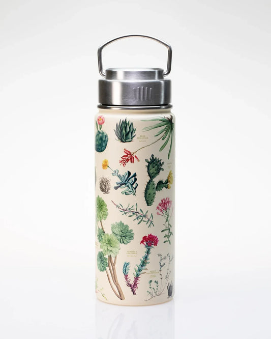 Water Bottle 18oz - Cactus & Succulents